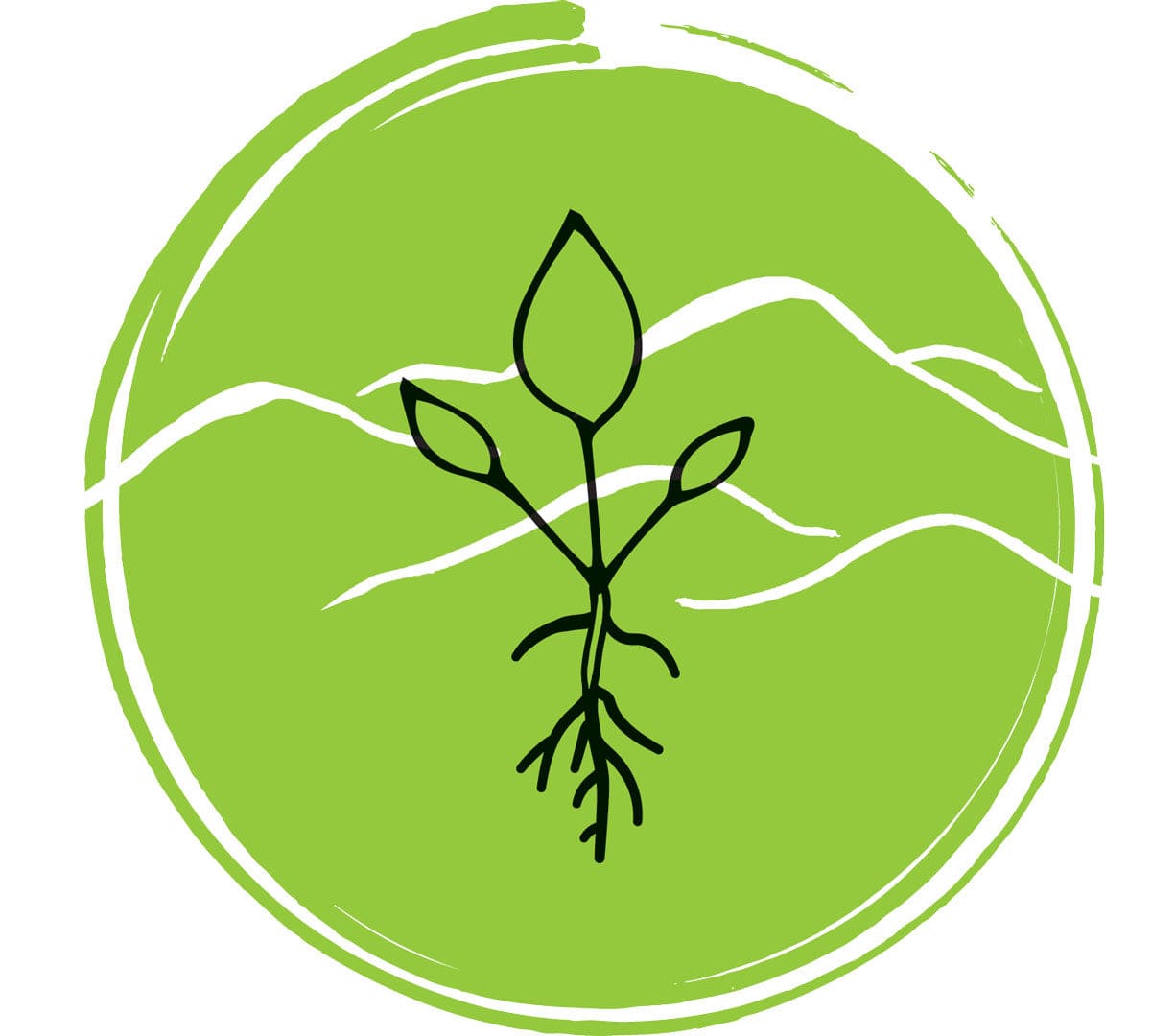 Organic Breakfast Bone Broth 1L-Levenvale Farm